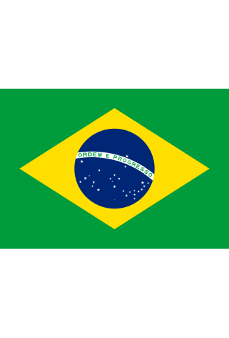 Brazil Santos Stockler NY2/3 Scr.17/18 SS FC RFA Green Unroasted Coffee 250g