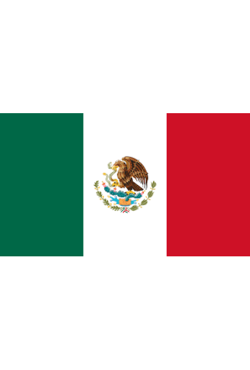 Mexico RFA Muxbal Green Unroasted Coffee 250g Mexico RFA Muxbal Green Unroasted Coffee 250g